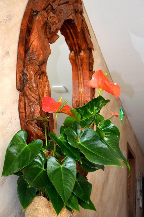 Boutique Villa Amalia Chernomorets Luaran gambar